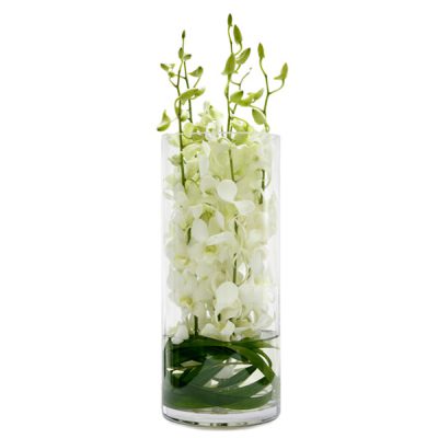 White Singapore orchids in a cylinder vase