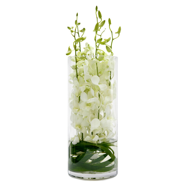 Giselle White Orchid Vase Brighton Fleuriste